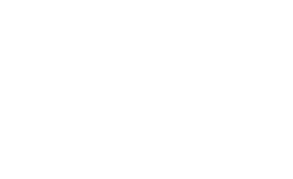 POM Logo